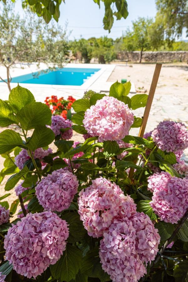 Marcelovi Dvori Bed & Breakfast Pirovac Luaran gambar